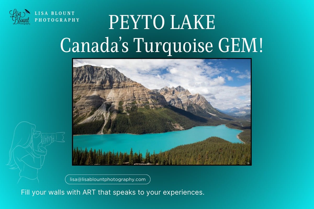 Peyto Lake Banff National Park turquoise glacial lake landscape photography Canada
