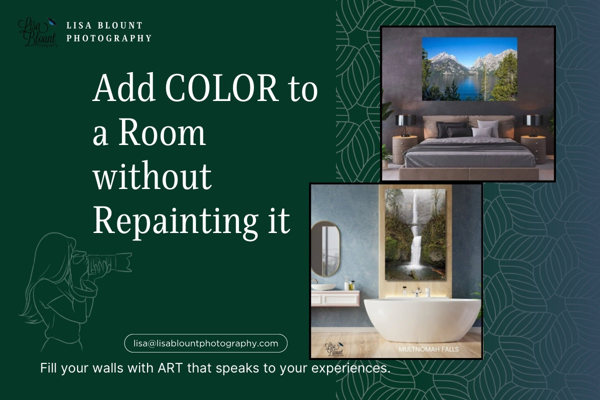 How to add color to a room without painting it - Lisa Blount Photography featuring images of a bedroom and bathroom with artwork on walls.
