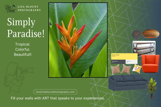 Tropical paradise themed moodboard featuring photo art of the bird of paradise in St Lucia