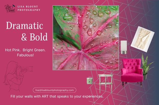 Hot pink moodboard featuring large art of pink and green Caladium from St Lucia