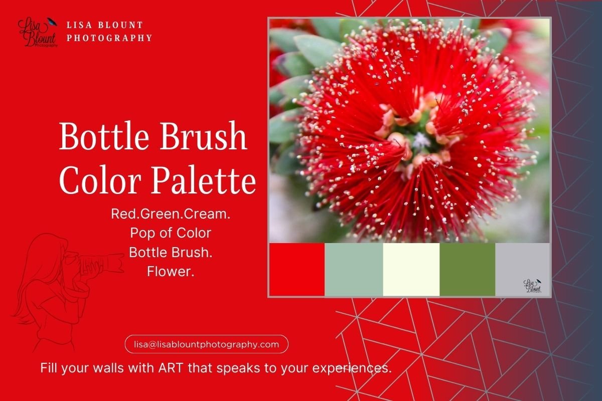 Bright Red Color Palette for Bottle Brush Flower Home Decor