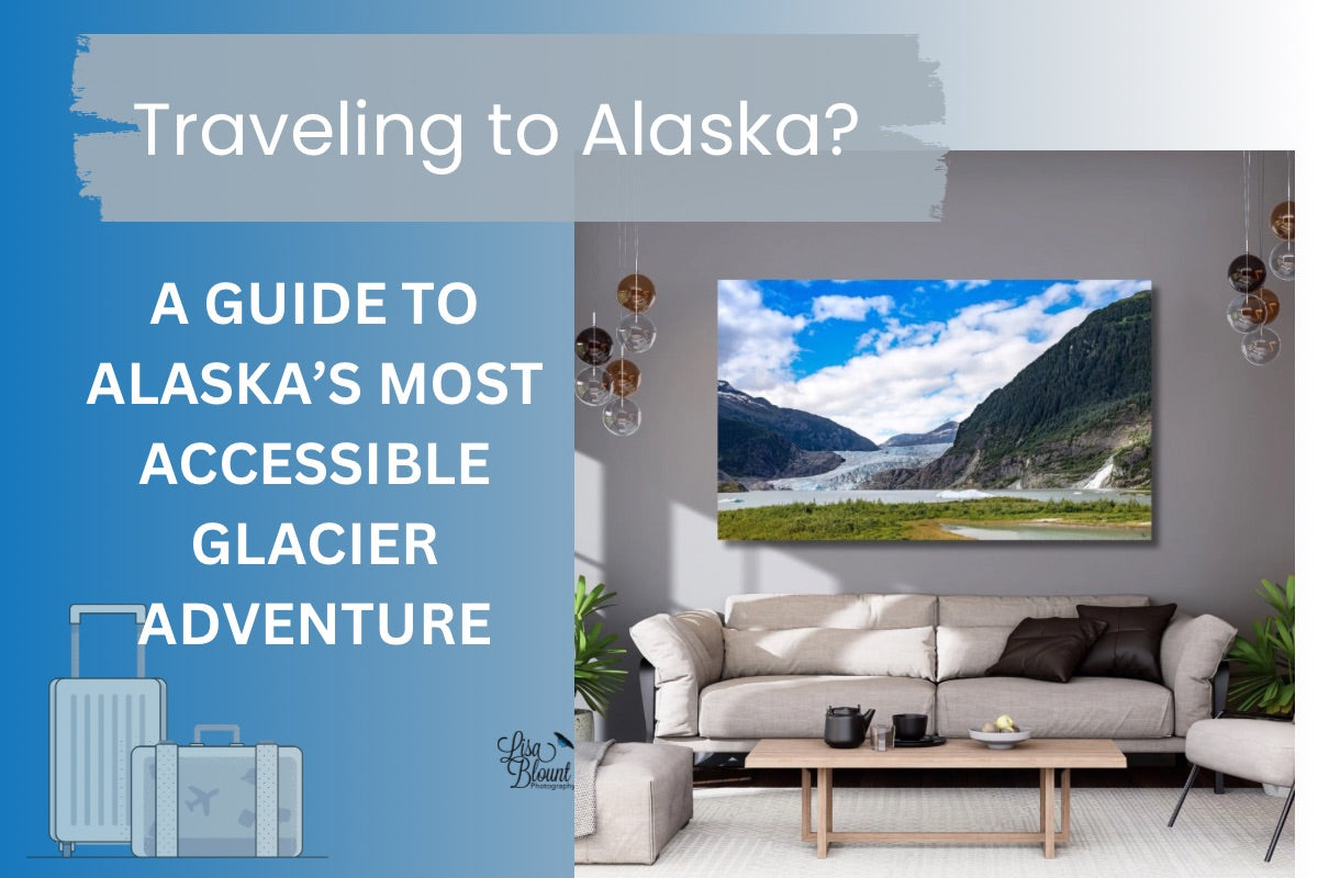 Guide to Mendenhall Glacier - Alaska’s most accessible glacier adventure. Located near Juneau Alaska.