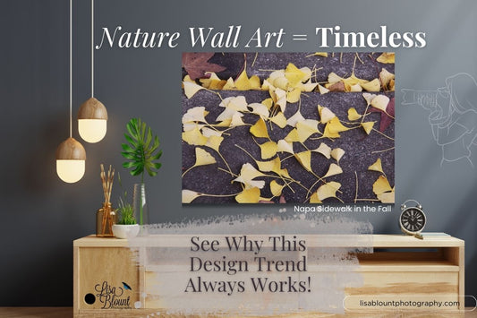 Napa Sidewalk in the Fall fine art print hanging above a wood console table with text overlay “Nature Wall Art = Timeless”