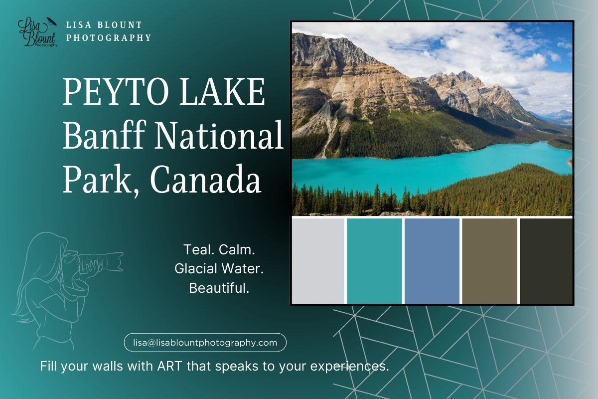 Color Palette blog around the beautiful colors found at Peyto Lake Banff National Park Canada. From turquoise waters to lush green trees these colors calm and allow reflection.
