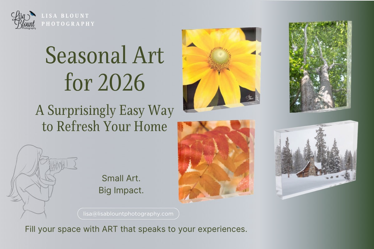 Promotional graphic for using seasonal art to refresh your space with images for each season - a flower, green trees, fall leaves and a snowy landscape, featuring Lisa Blount Photography.