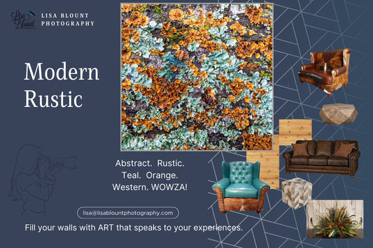 Contemporary rustic moodboard featuring rust orange teal lichen abstract art