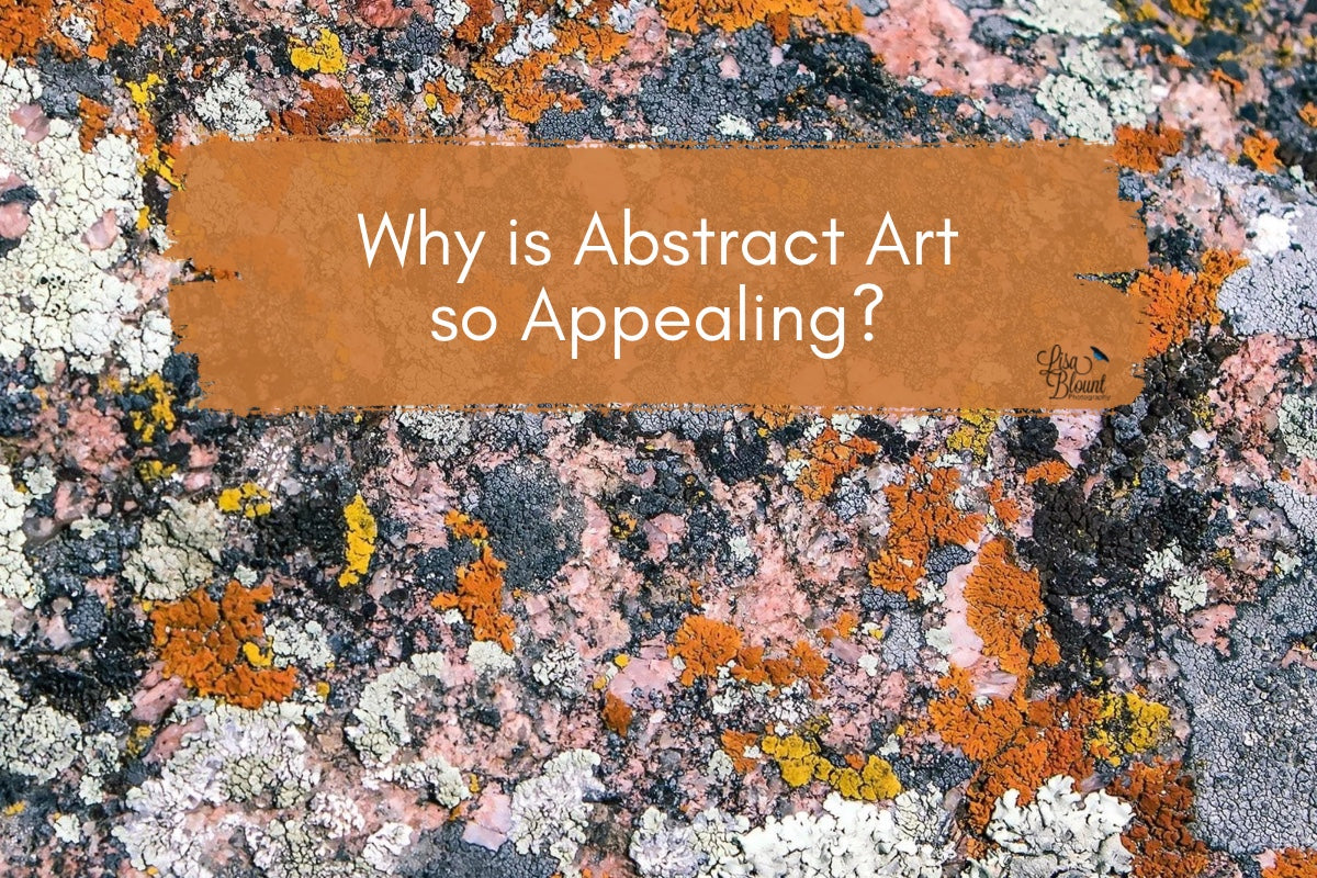 Colorful abstract background of Shell Canyon Lichen with overlay text reading “Why is abstract art so appealing” – blog cover image for fine art photography post.