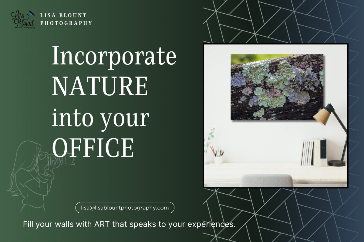 Blog about using nature in your office decor - featuring a modern abstract nature print in an office setting.
