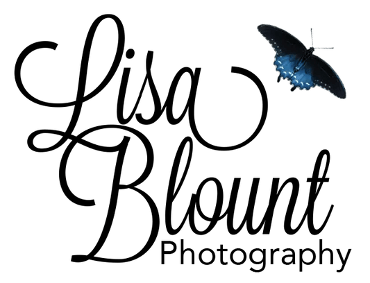 Lisa Blount Photography - Lisa Blount Photography
