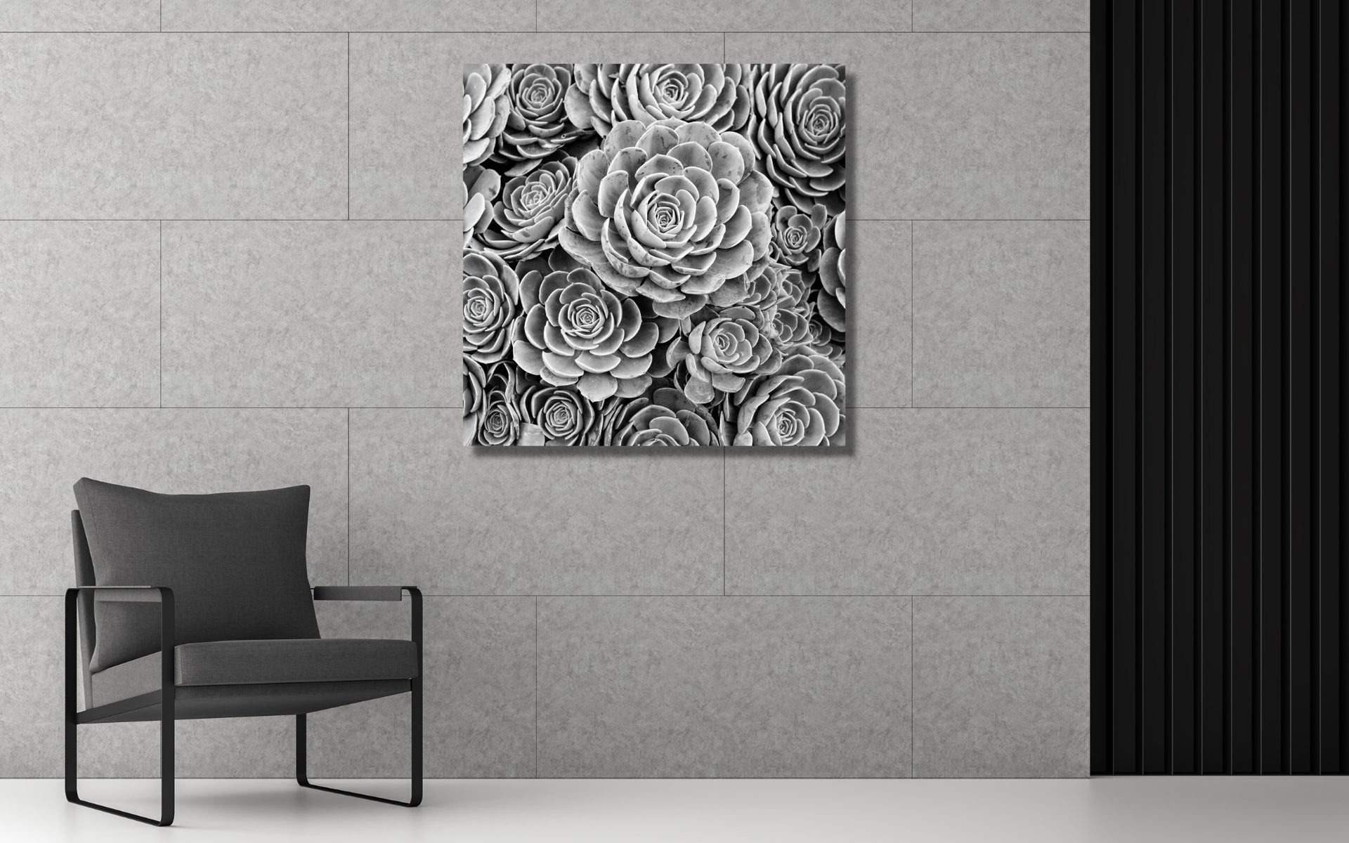 Black and White Minimalist Collection focused on nature themed fine art photography wall decor.