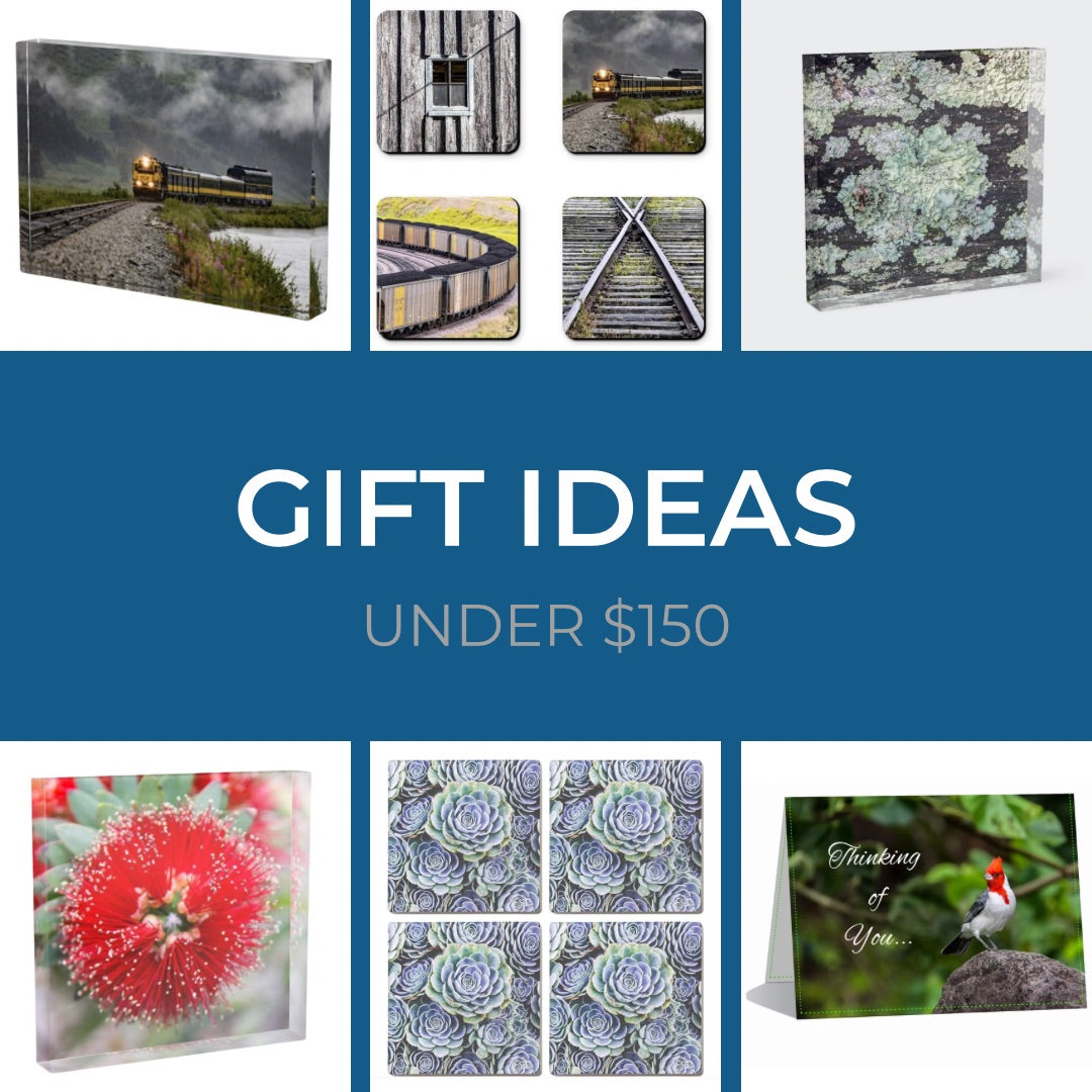 Art Gifts Under $200