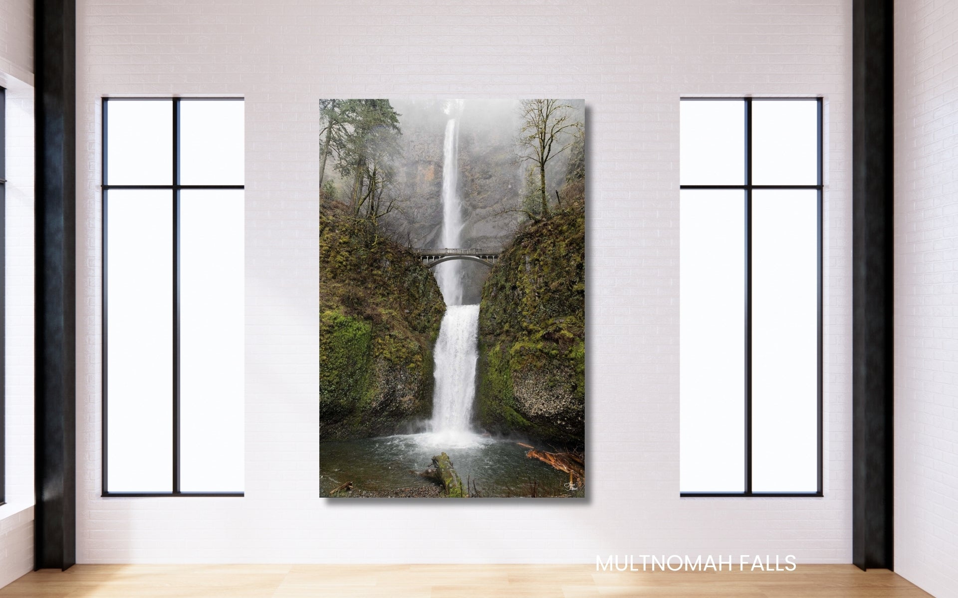 Collection of collector favorites - fine art photography wall decor - Lisa Blount