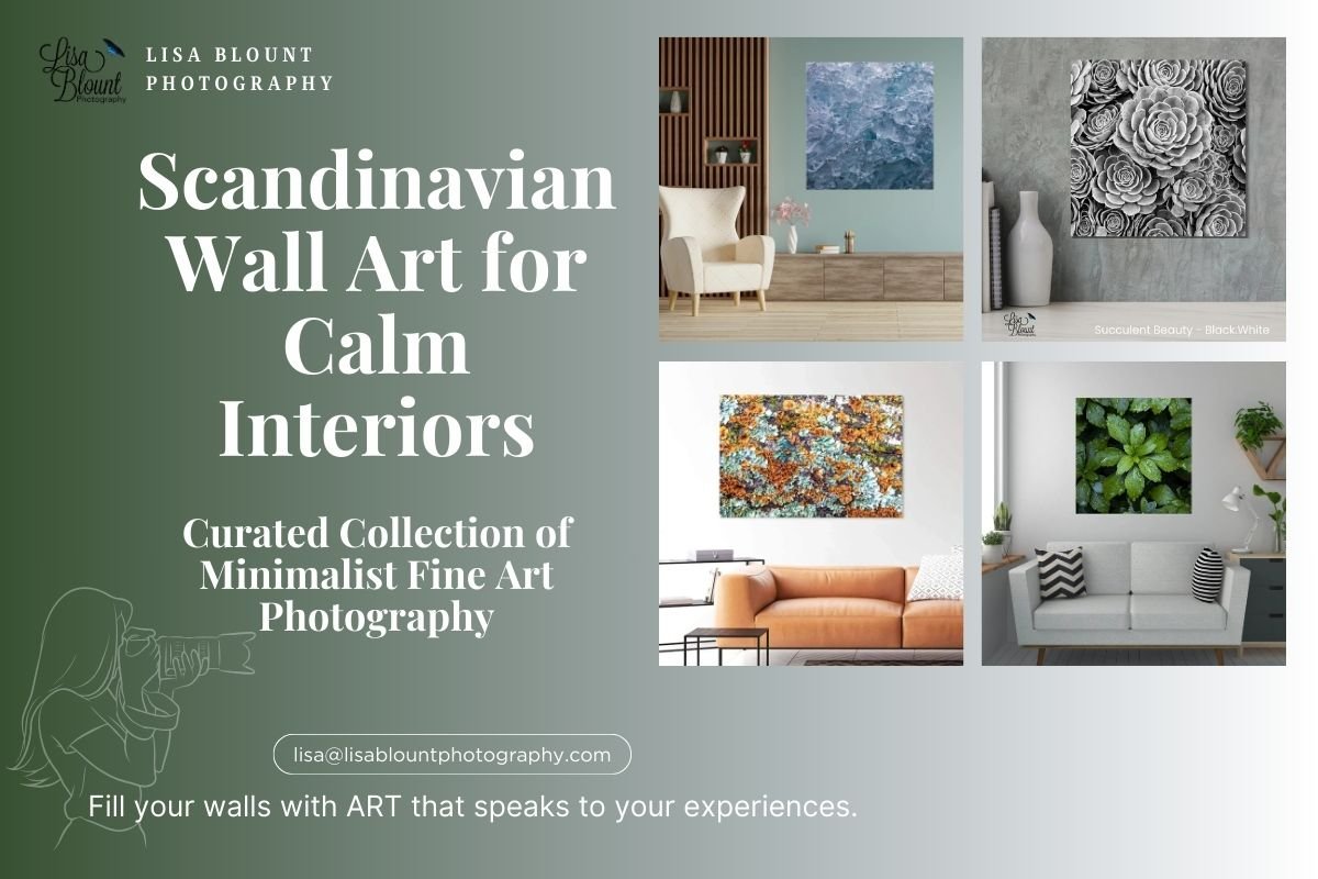 Scandanavian Collection of minimalist fine art photography wall decor by Lisa Blount
