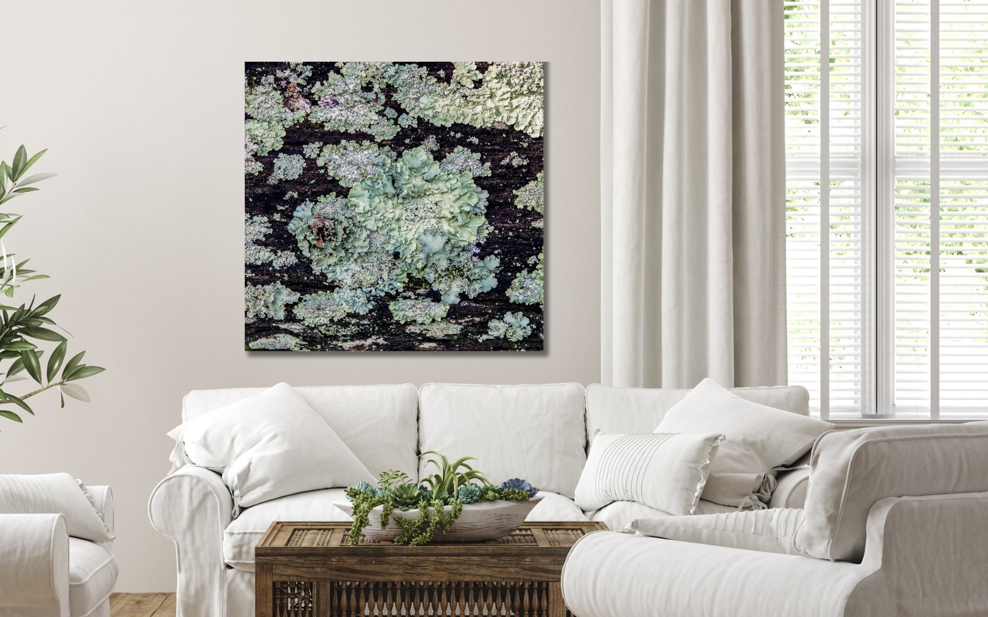 Lichen and Moss - nature's abstract art captured and turned into fine art photography wall decor by Lisa Blount
