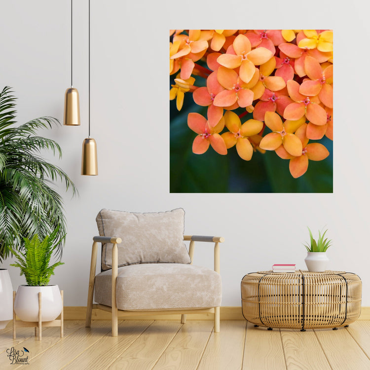 Orange and Coral colored Jungle Geranium large fine art wall decor hanging in sitting area