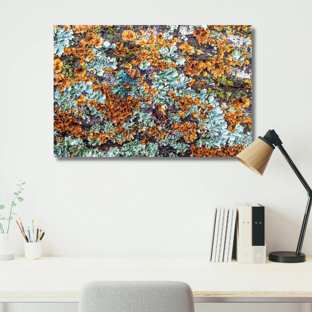 Abstract rust and teal lichen from a white oak tree fine art hanging in an office