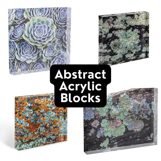 Abstract acrylic blocks with various nature themed patterns - perfect for shelf and desk decor