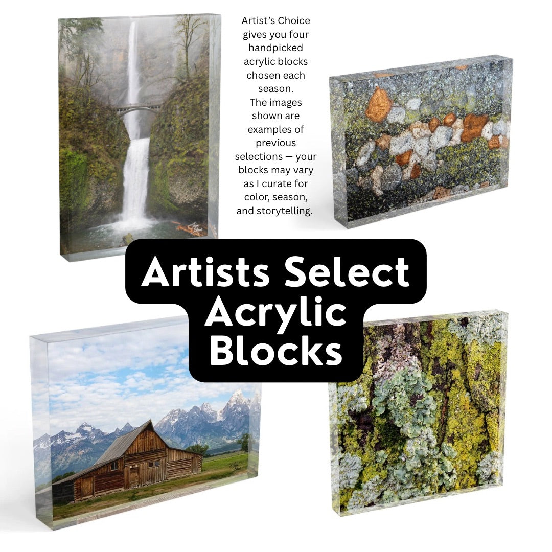 Four acrylic blocks with nature and scenic images. Examples of Artists Select Acrylic Block options in the quarterly subscription.
