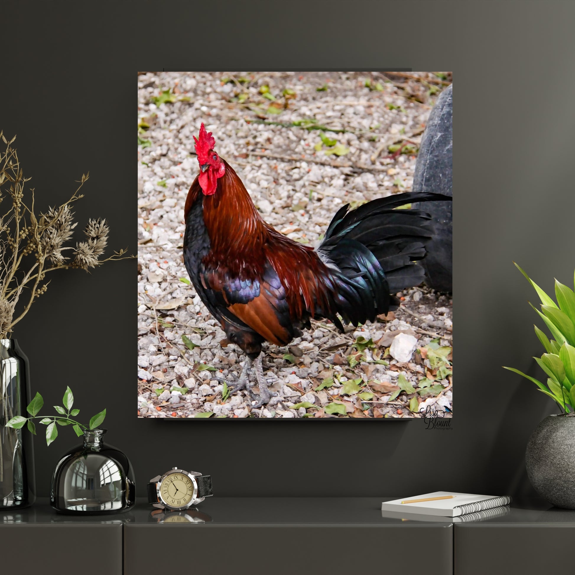 picture of a banty rooster on a dark greige wall 