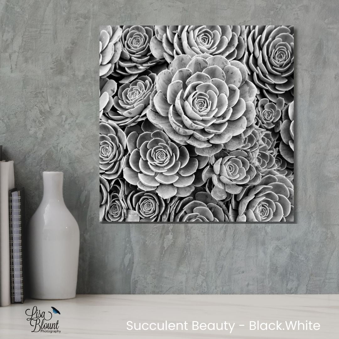 Black-and-white succulent photograph styled above a bookshelf – modern minimalist home decor