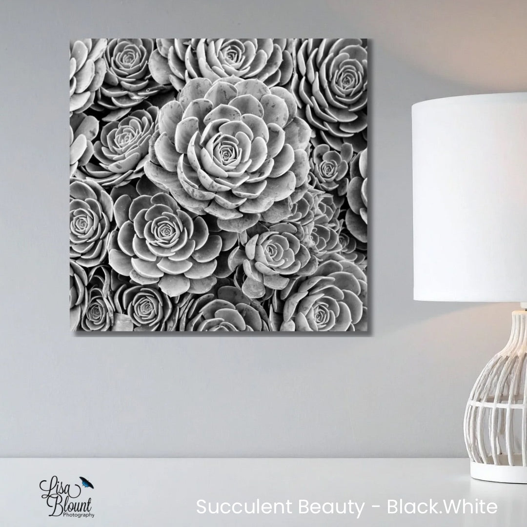 Black-and-white succulent fine art above a desk on a light gray wall – minimal monochrome wall decor
