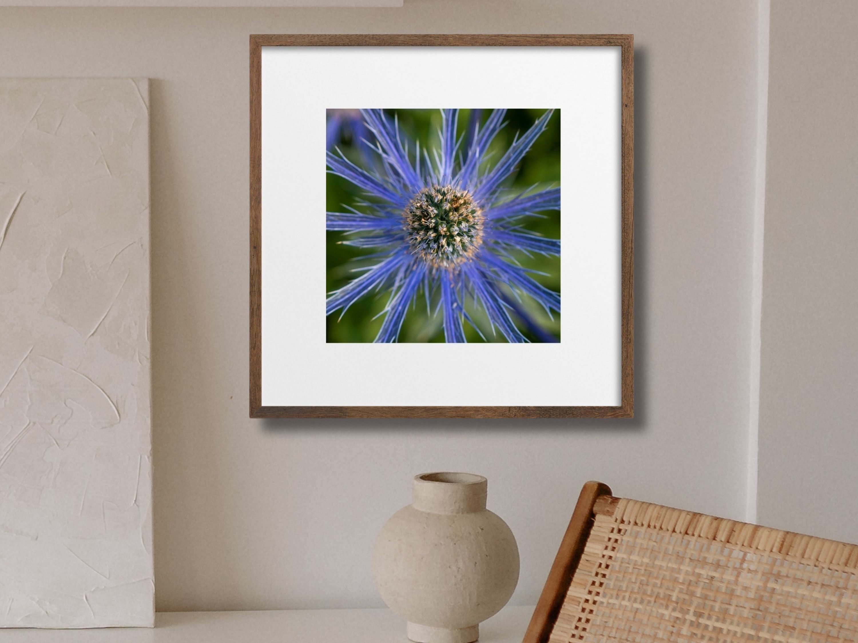 Framed artwork of a blue sea holly flower on a wall with a vase and chair in the foreground. Frame not included
