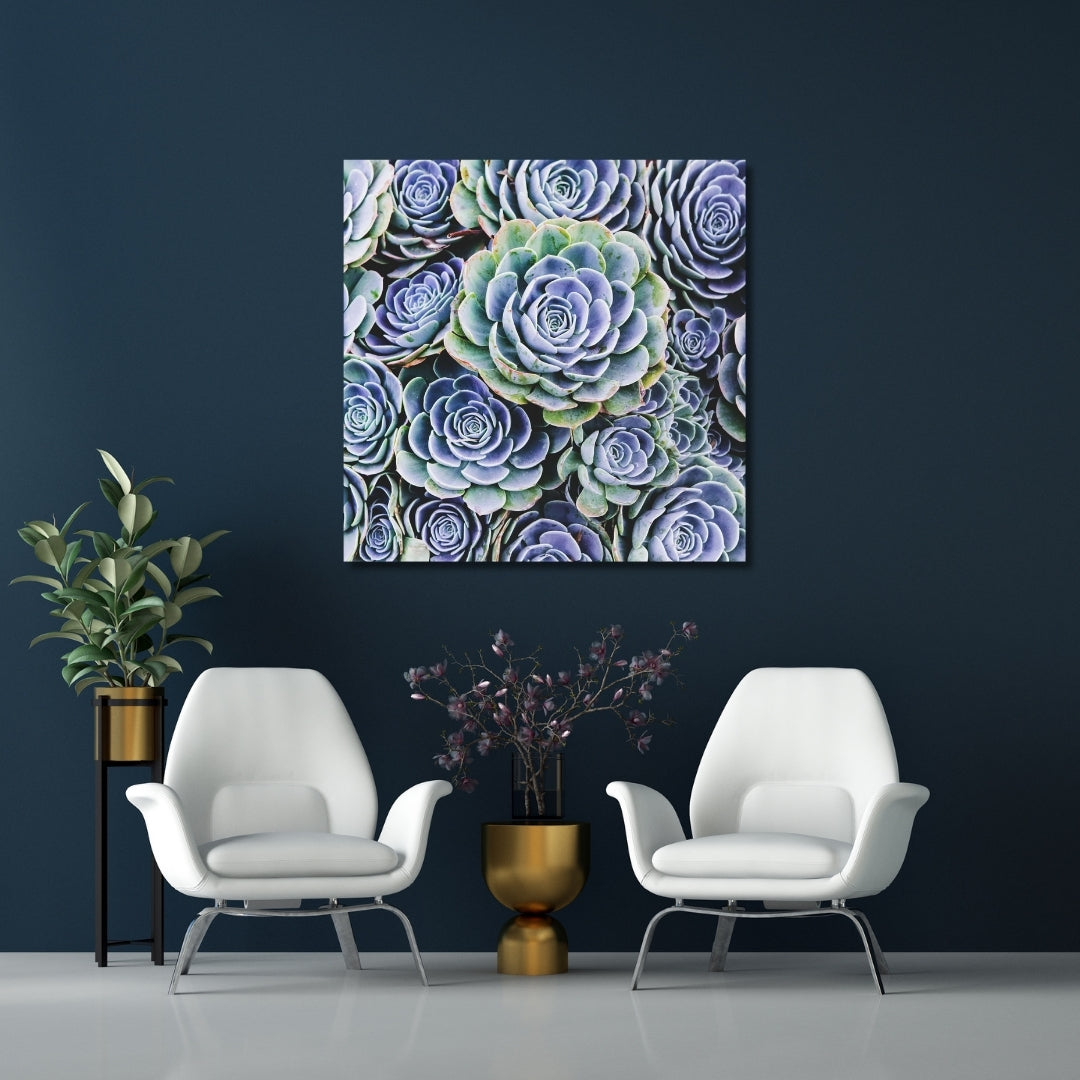 Large blue succulent fine art print hanging on a navy accent wall in a modern sitting area with white chairs and gold décor.