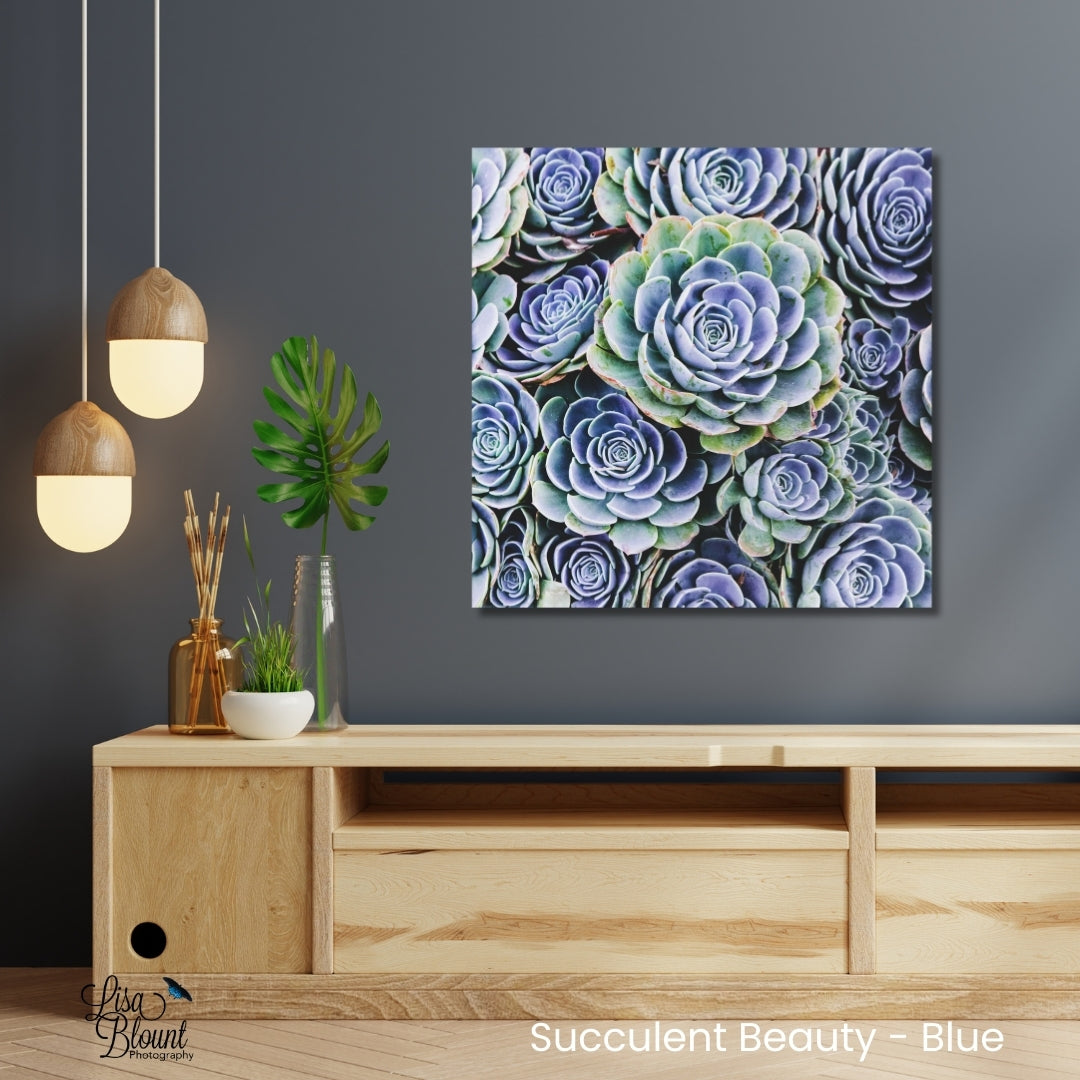 Abstract blue hen and chicks succulent photography fine art hanging on grey wall above short oak table