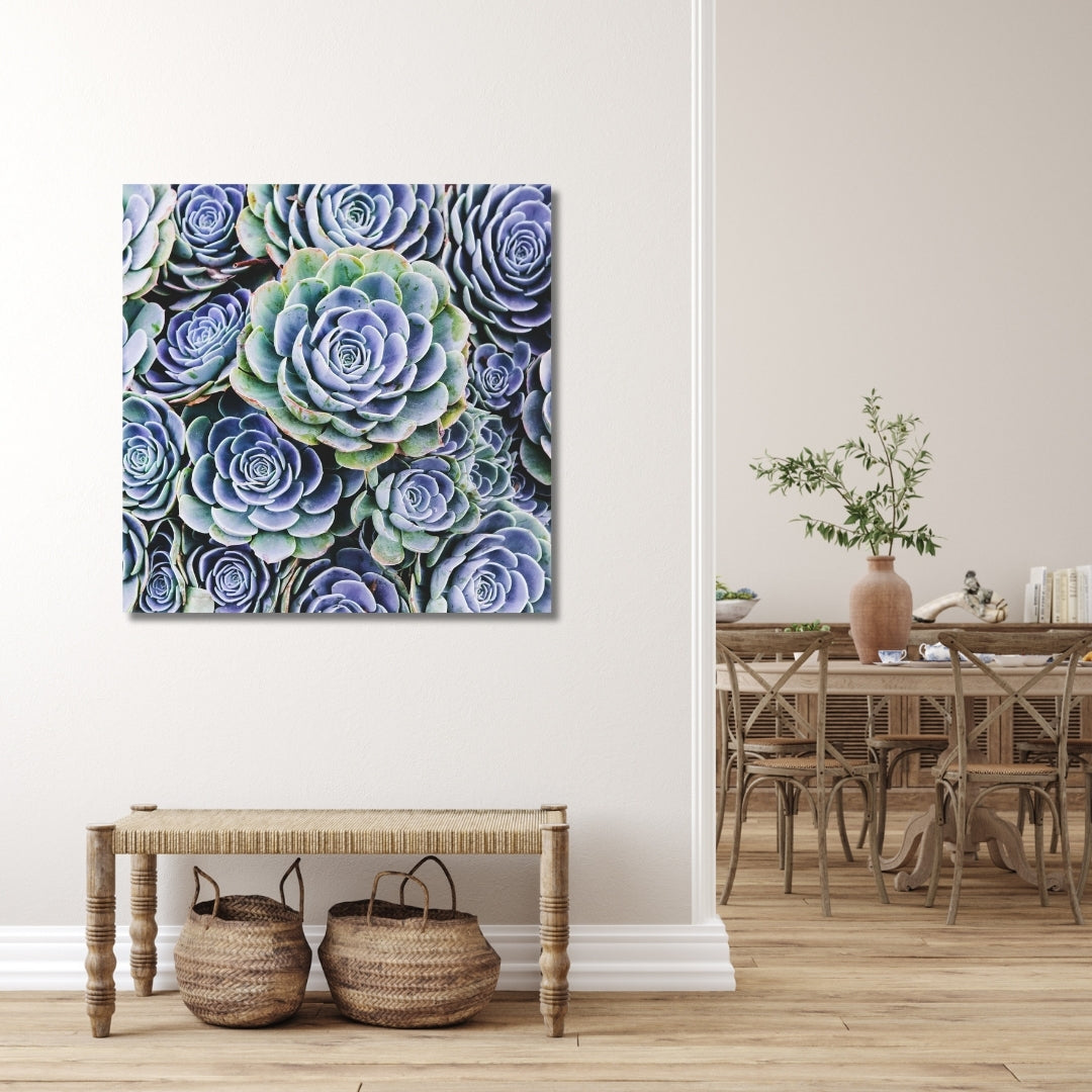 Blue Succulent wall art displayed above a natural wood bench in a bright neutral living room with light floors and soft décor.