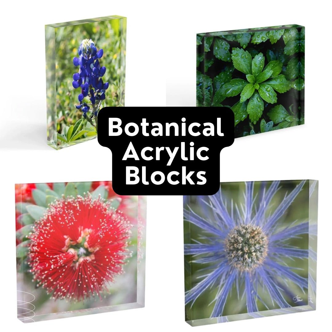 Four botanical acrylic blocks with different plants for the quarterly subscription