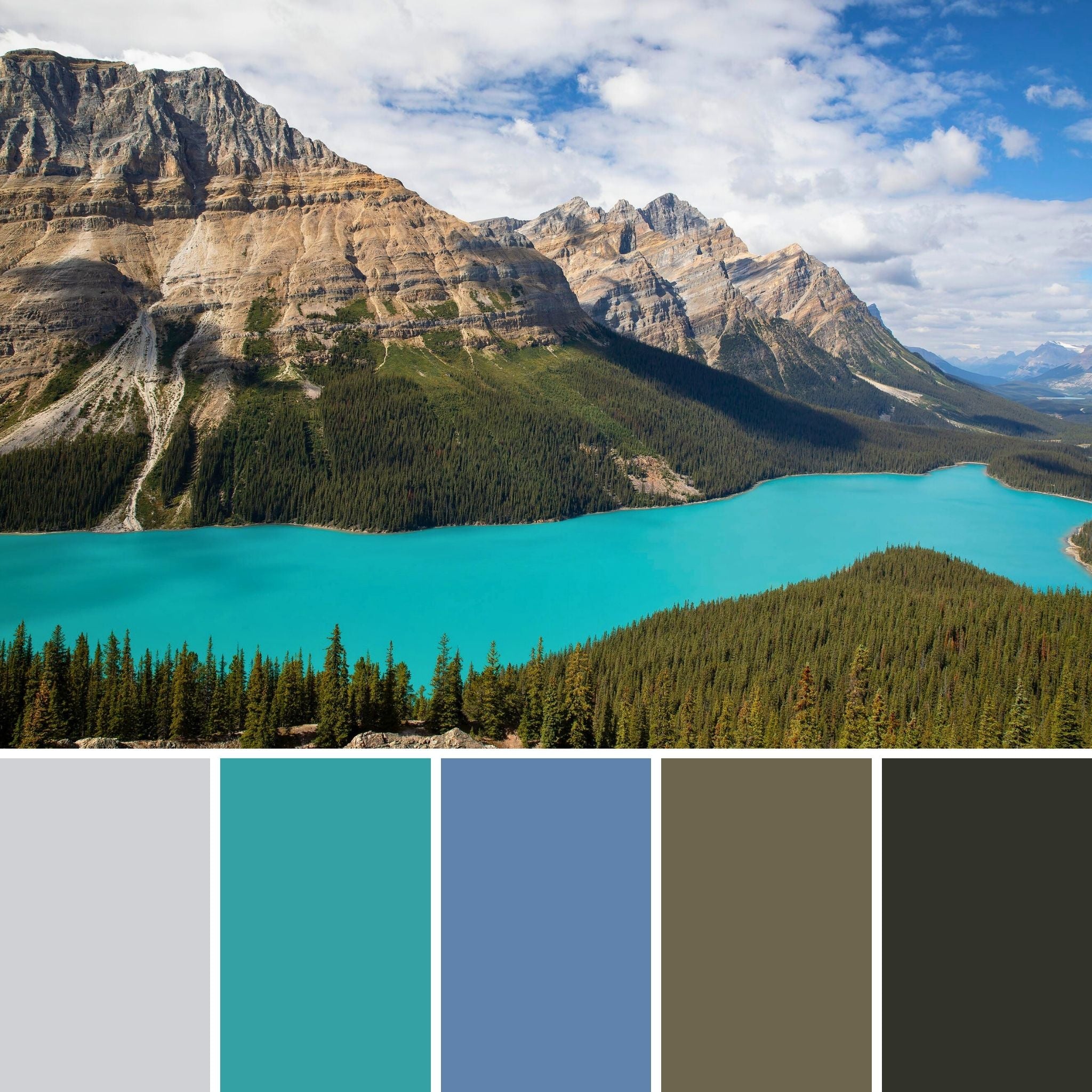 Peyto Lake interior design mood board featuring the turquoise lake photograph paired with blue, teal, and neutral color swatches for home décor inspiration.