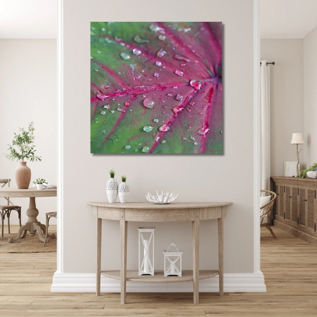 Large art of a hot pink and green caladium with water droplets on it. Placed in a farmhouse style hallway over a teak wood table. A pop of color to a neutral colored room.