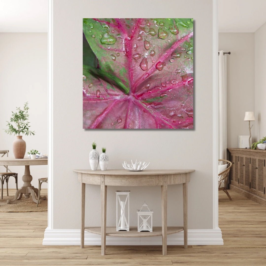 Large art of a hot pink and green caladium with water droplets on it. The leaf is pointing down as if directing you to one side of the hallway. Placed in a farmhouse style hallway over a teak wood table. A pop of color to a neutral colored room.