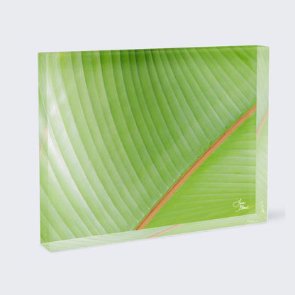 7x5 acrylic block of abstract green and orange banana leaf