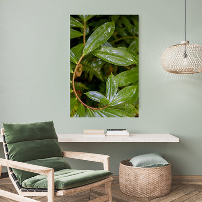 spiral ginger curvy plant art hanging in neutral mint green room