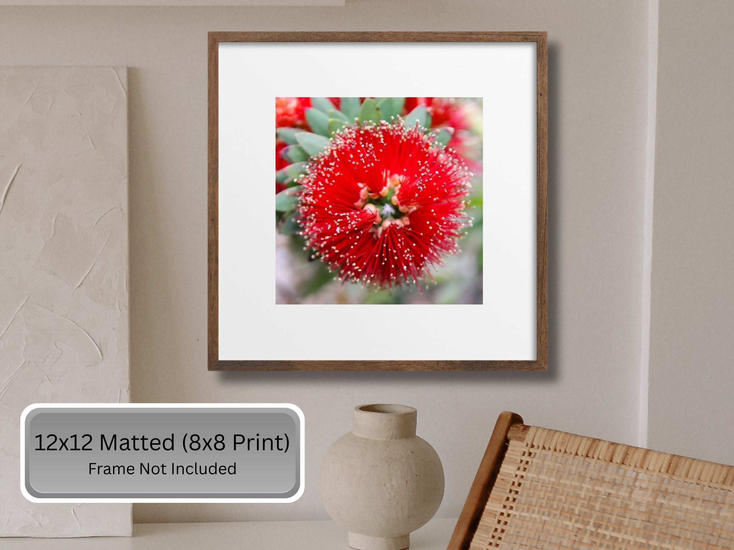 Framed print of a red bottlebrush desert flower with text indicating print sizes and frame exclusion.