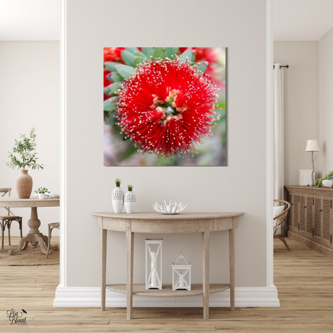 Red bottlebrush flower wall art hanging above a light wood entryway console table in a bright, neutral room.