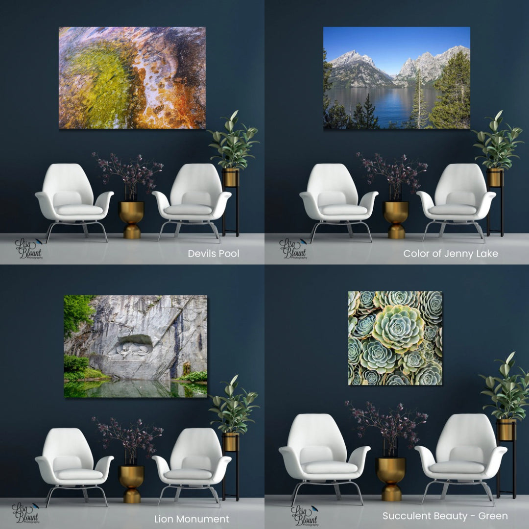 Fine art photography nature wall art hanging in same room showing the difference different art makes to a space