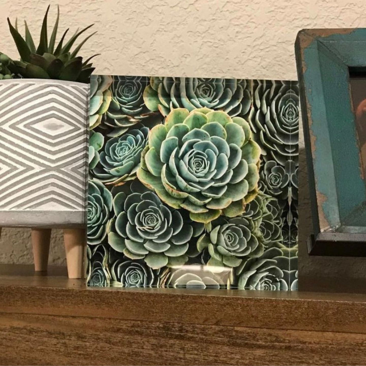 6x6 green succulent fine art acrylic block displayed on mantle with small art and plant