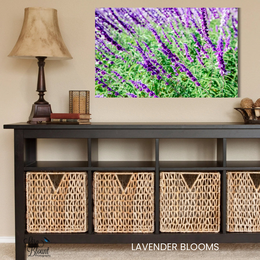Lavender blooms fine art photography wall decor hanging over boho style credenza