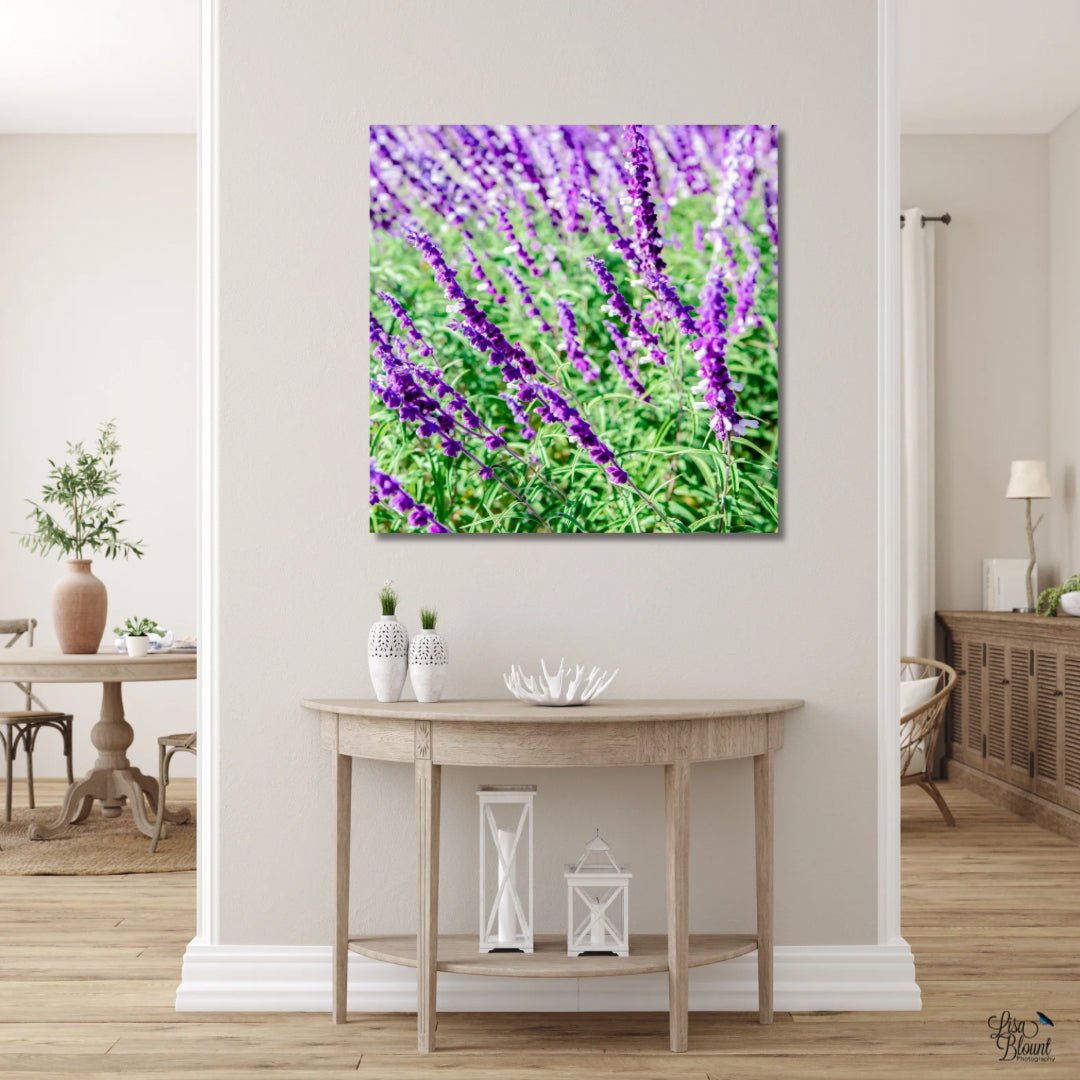 Purple lavender blooms fine art photography printed on acrylic - wall decor hanging in hallway of casual style home