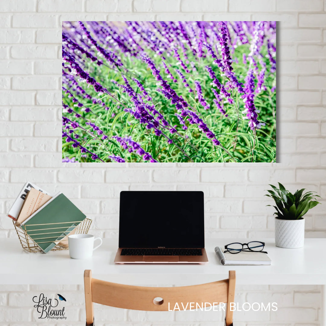 Colorful purple and green lavender blooming wall decor on acrylic - hanging above desk in office.