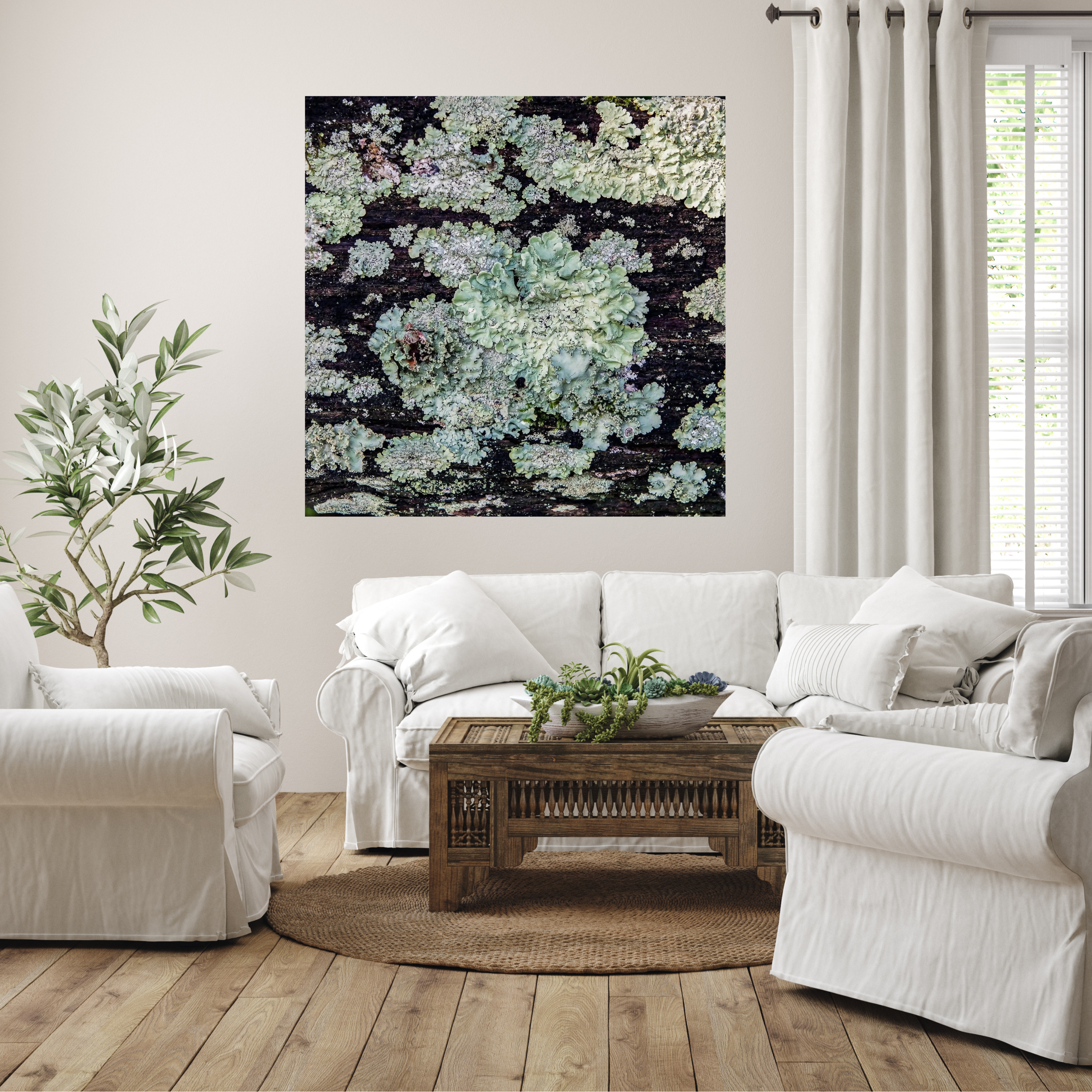 Lichen growing on dark wood fence rail turns into abstract fine art photography hanging in white living room. Art by Lisa Blount photography