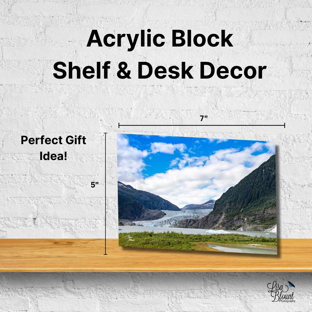 Acrylic block of Mendenhall Glacier displayed on a shelf with size reference, showing scale and clarity of the miniature fine art piece