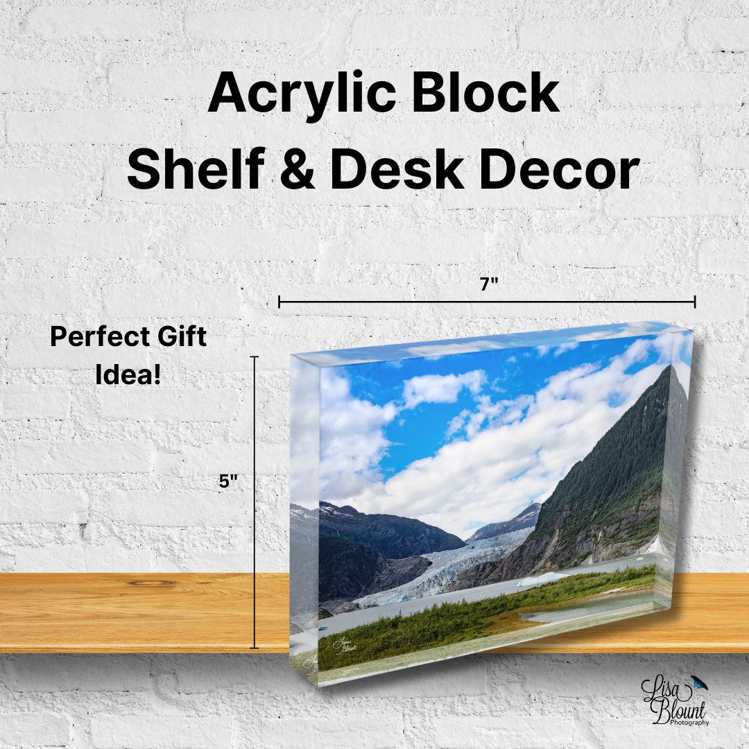 Acrylic block of Mendenhall Glacier displayed on a shelf with size reference, showing scale and clarity of the miniature fine art piece