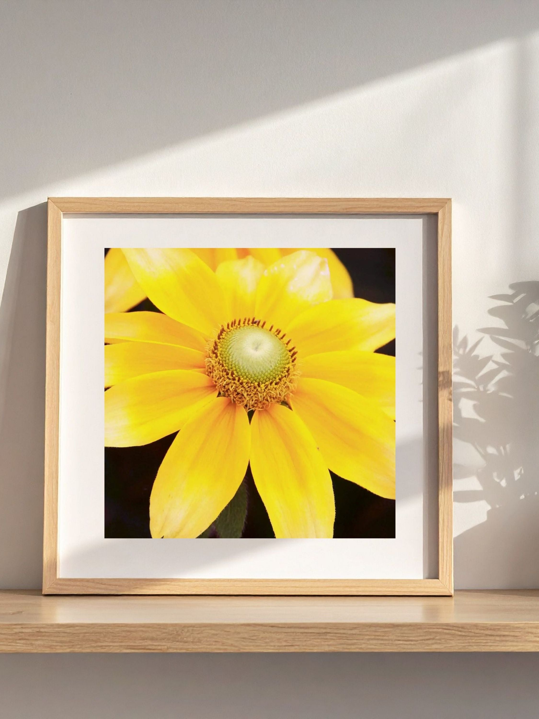 8x8 fine art print of yellow flower