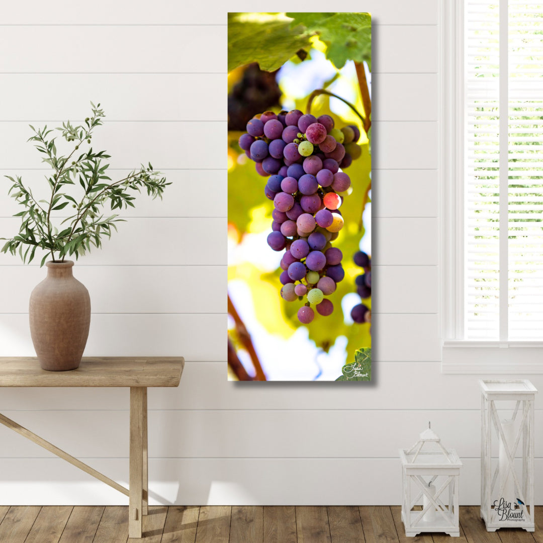 Vertical fine art photograph of Napa Valley wine grapes hanging on the vine, displayed in a white shiplap entryway with a natural wood console table.