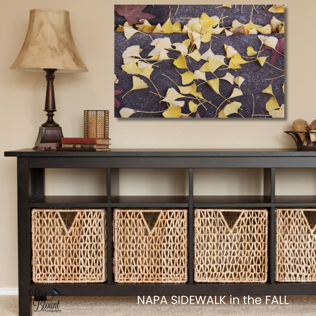 Yellow ginkgo leaves on the sidewalk printed on brushed metal wall art decor hanging in boho style room.