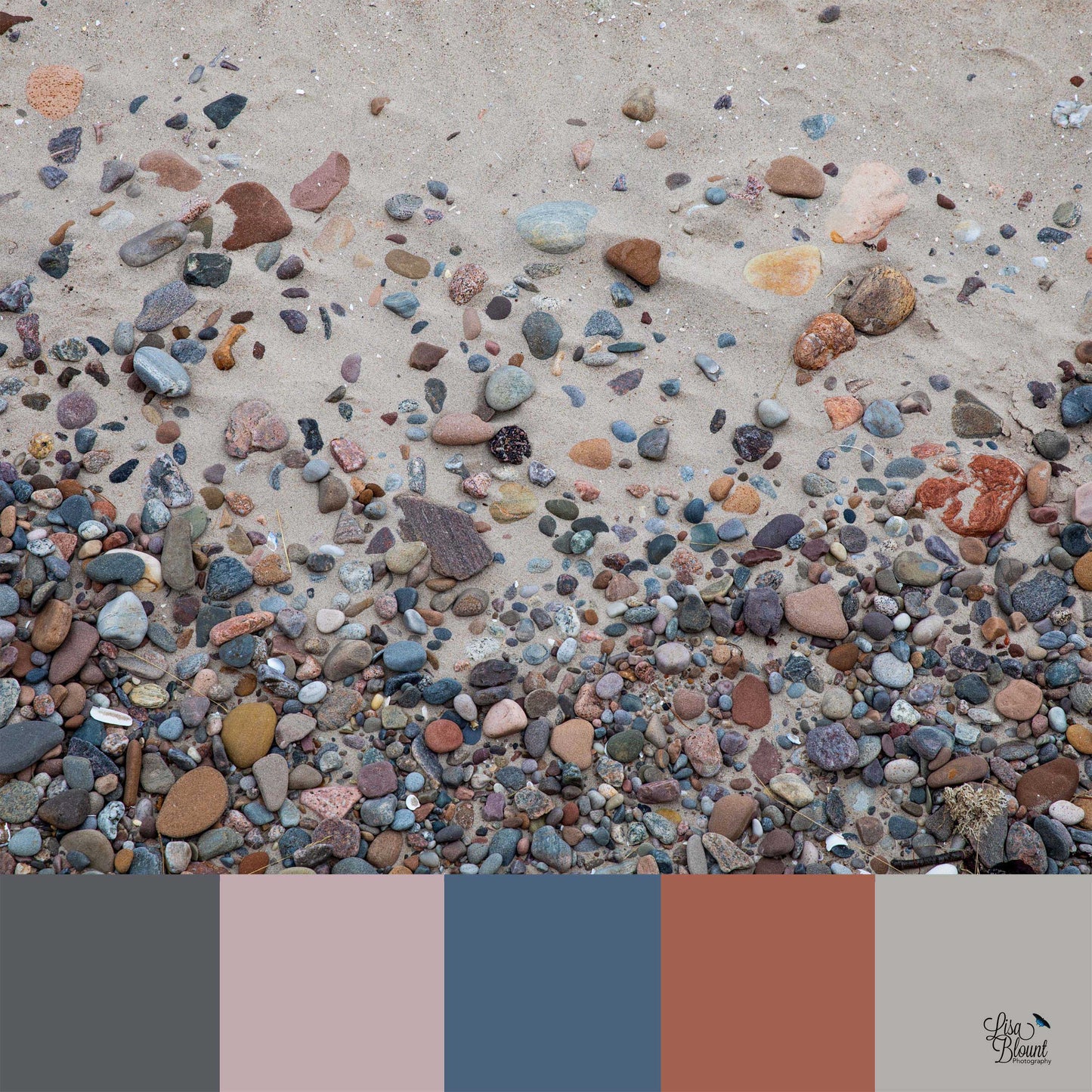 color palette of muted nature tones of colorful rocks in the Nairn Beach of Scotland. Art by Lisa Blount Photography