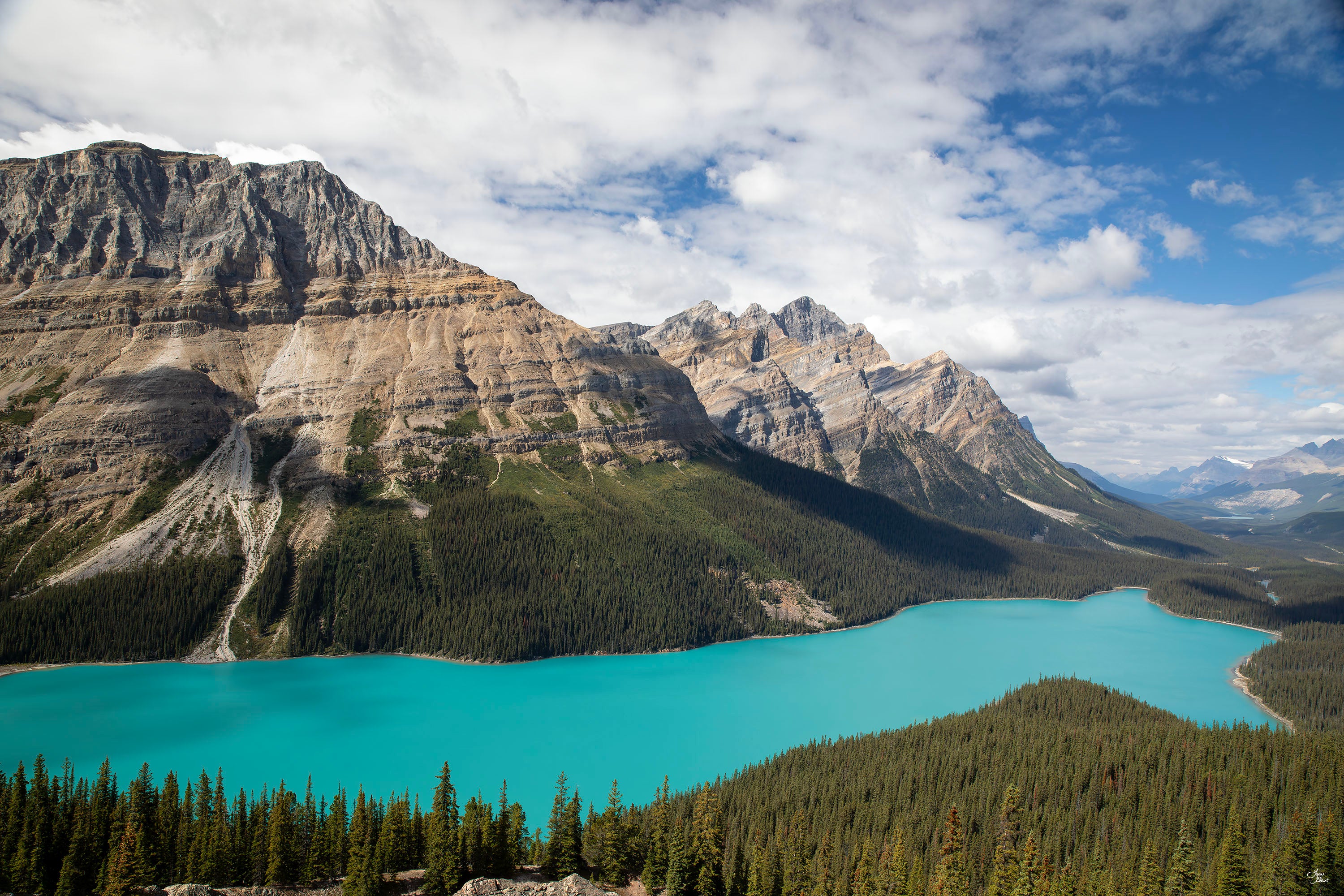 Peyto Lake wall art featuring the bright turquoise glacier-fed lake surrounded by rugged Canadian Rockies and dense evergreens—fine art photography from Banff National Park.